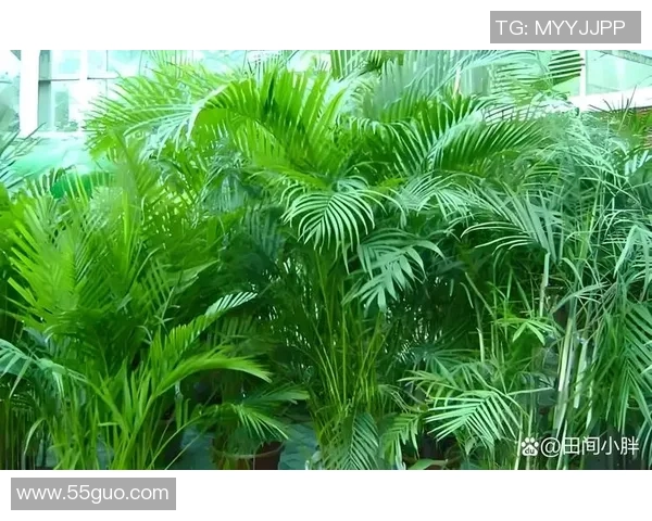 盆栽植物养护技巧全攻略，让你的家居环境更添绿意与生机